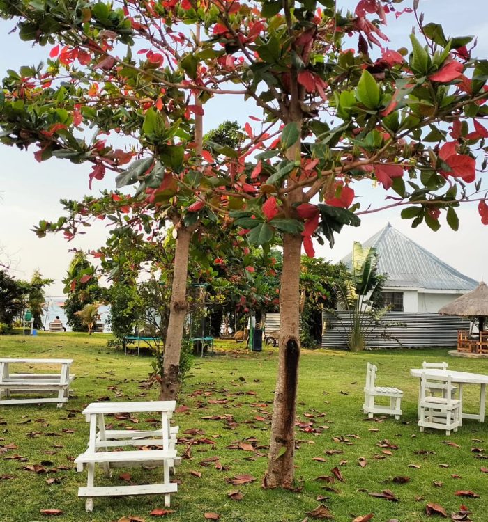 About White Stone Beach Resort